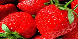 jav_bg_strawberries